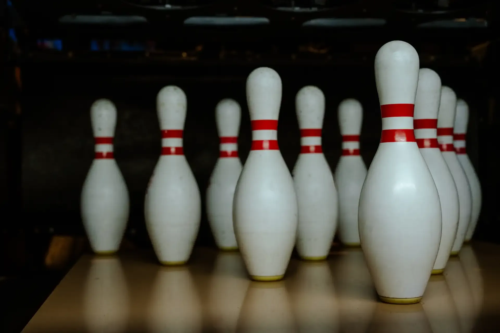 Pinos alineados al final de la pista.