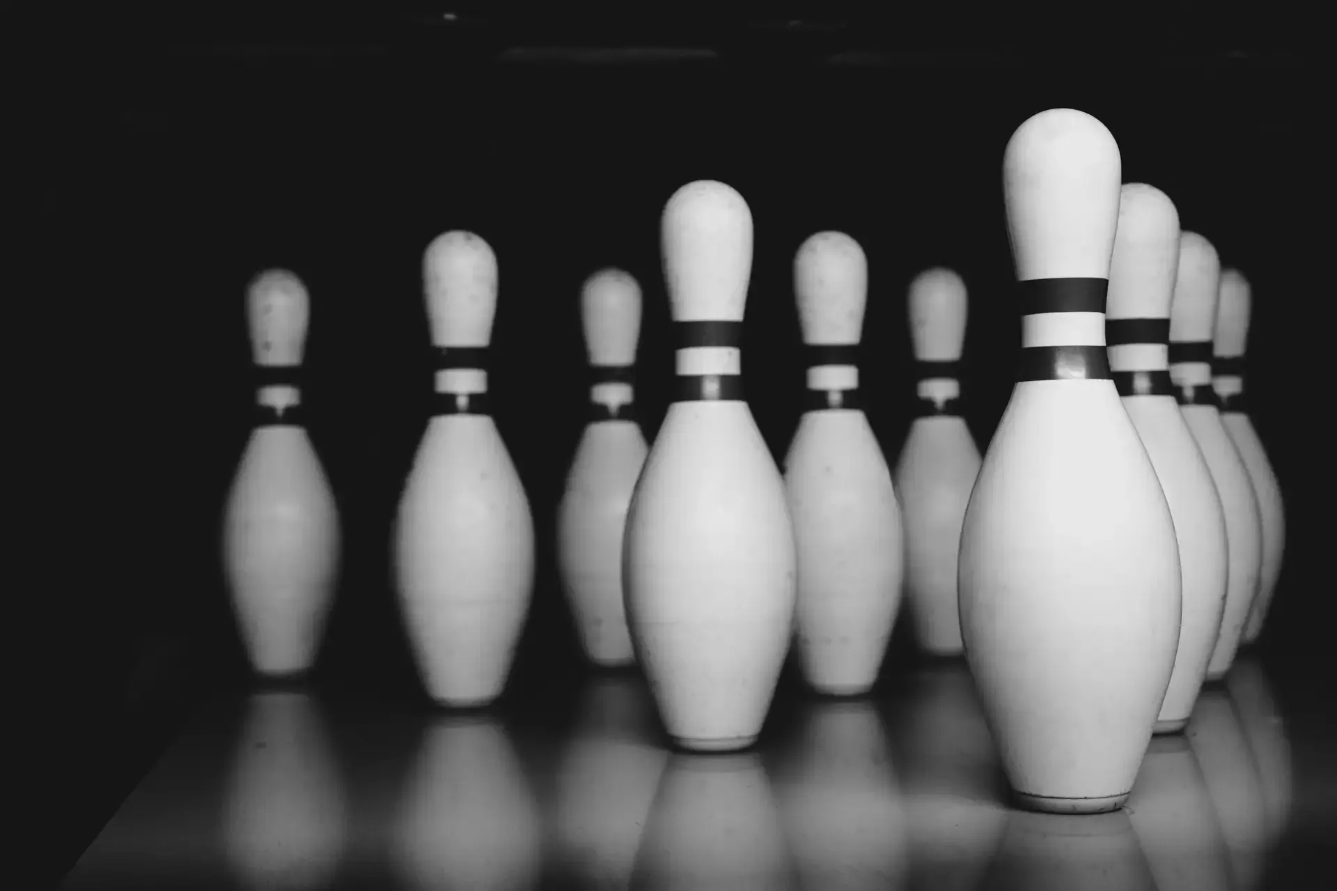 Pinos alineados en una imagen en blanco y negro.